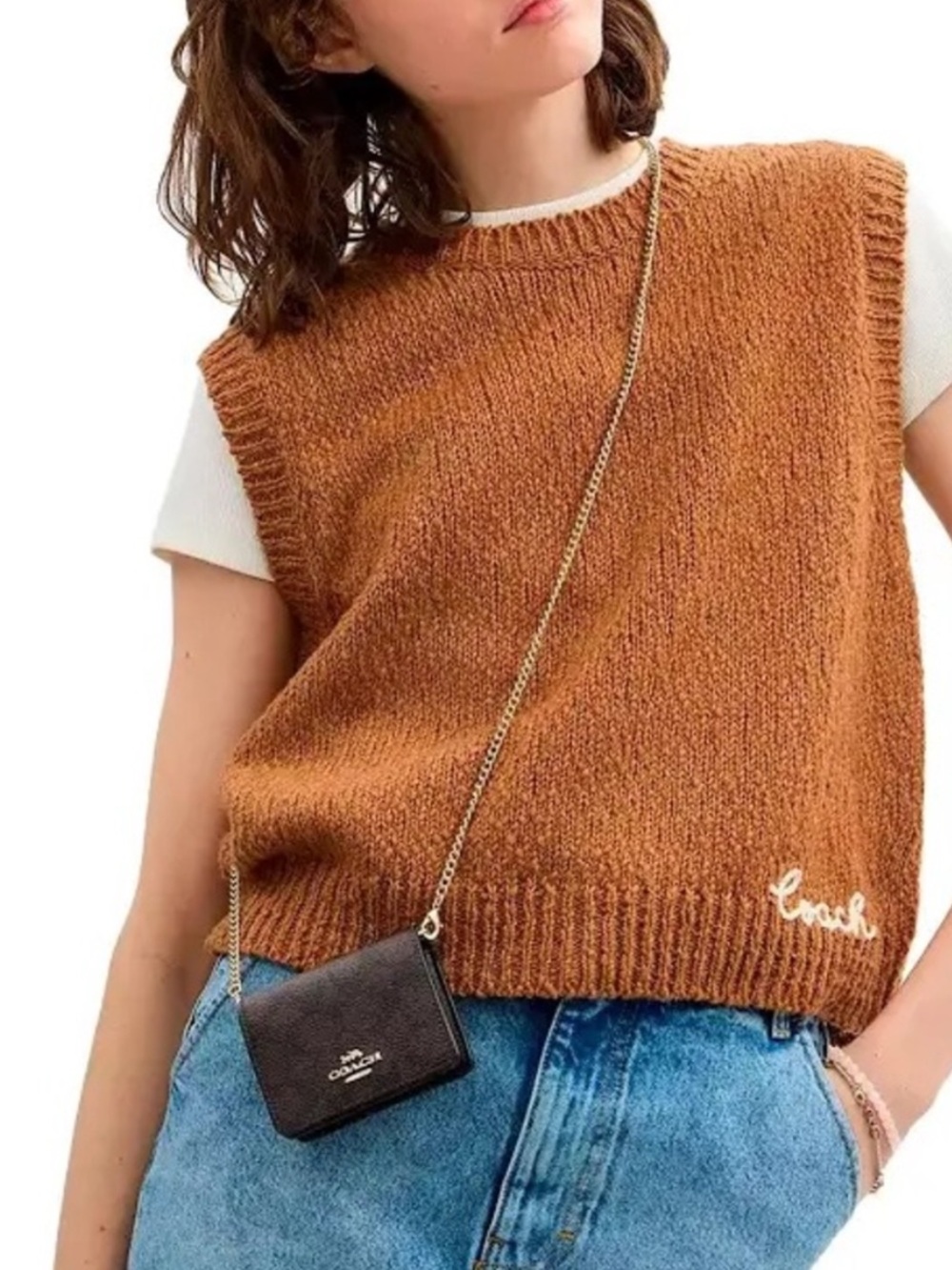 Coach NWT Brown Signature Canvas Mini Wallet Crossbody with Gold Chain Strap